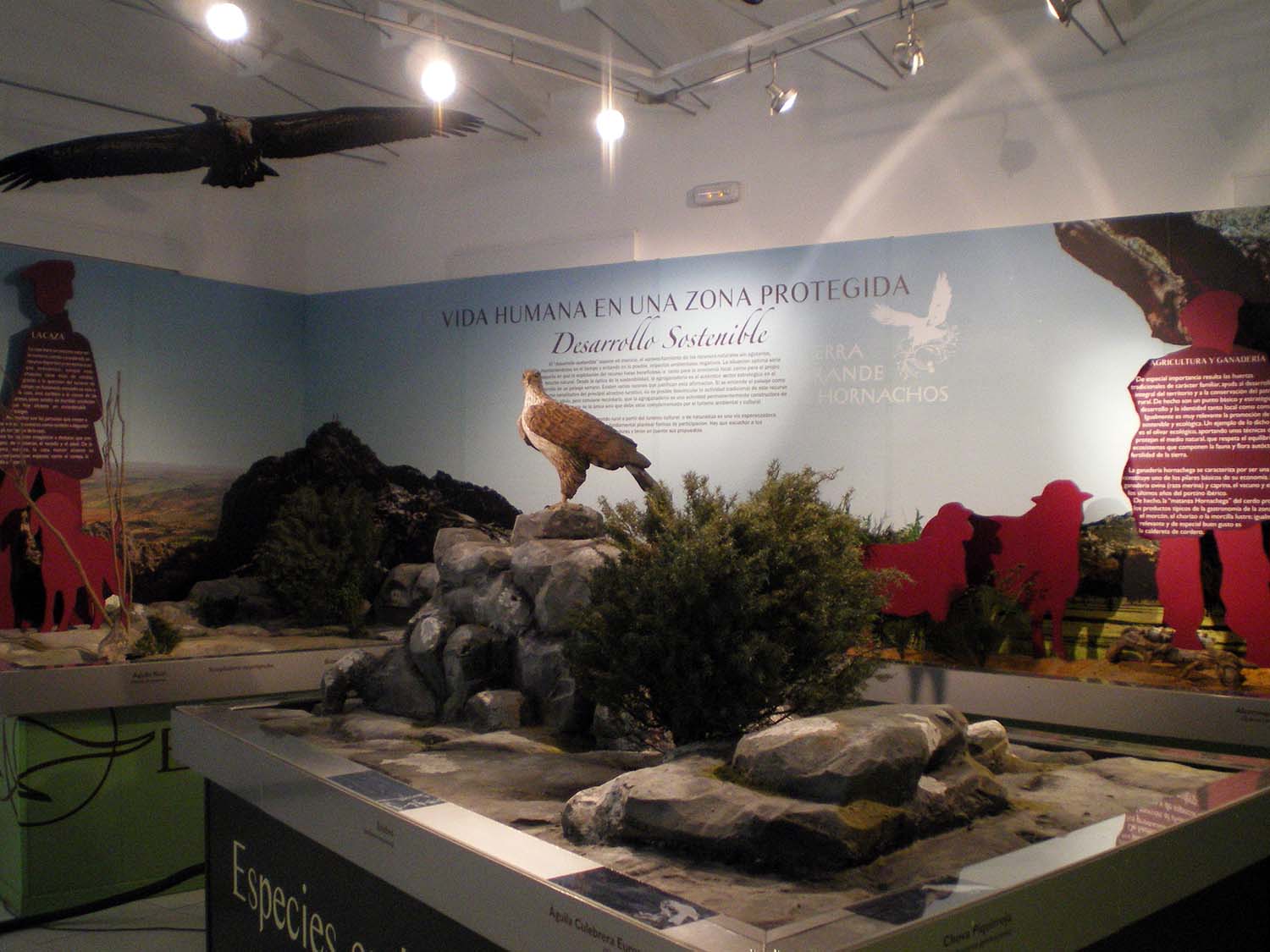 Sierra de Hornachuelos